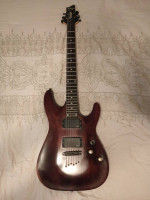 Schecter Guitar
