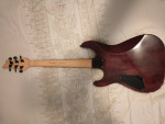 Schecter Guitar