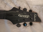 Schecter Guitar