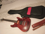 Schecter Guitar