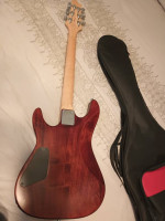 Schecter Guitar