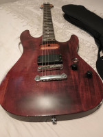 Schecter Guitar