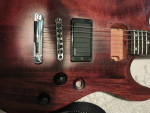Schecter Guitar