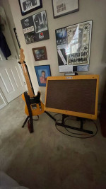 Trade fender 50s vibe classic tele  and blues deluxe reissue