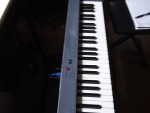Studiologic 88 Note Lightweight Midi Controller Keyboard