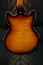 D'Angelico Premier Mini DC XT