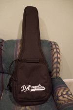 D'Angelico Premier Mini DC XT