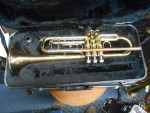 Trumpet