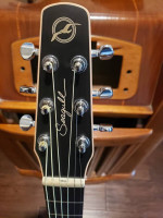 Seagull S6 Mahogany Deluxe A/E LIKE NEW