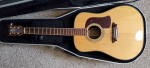 Washburn D-36S "Tahoe" Acoustic Guitar Buzz Feiten