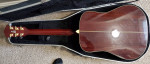 Washburn D-36S "Tahoe" Acoustic Guitar Buzz Feiten