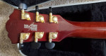 Washburn D-36S "Tahoe" Acoustic Guitar Buzz Feiten