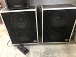 EV Bass Cab LF-215