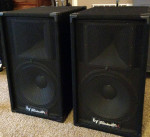 EV Eliminator 15" - 2 Speakers