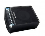 Acoustic Combo Bass Amp