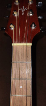 Crafter Acoustic Guitar w/ Case