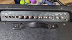 Great Working Johnson BlueLine Speaker Amp