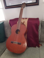 Guitar, classic