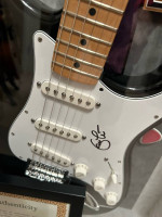 Signed anad authenticated black fender stratocaster fully encased in a hard wood