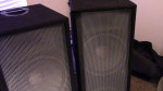 Two EV Speakers/cabinets