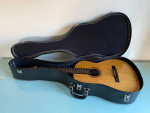 Giannini Classical Guitar AWN-31 Made in Brazil Vintage 1977 & Case