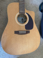 Acoustic Guitar