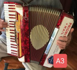 Affordable Accordions