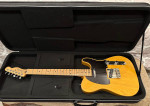 REDUCED - Road Runner Guitar Bag/Soft Case