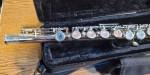 Mendini By Cecilio Student Flute Kit In Case