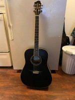 Fernandes Palisade D30 Black satin with Soft Case