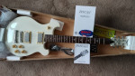 Tregan Shaman-New in Box-(Korea)Carved Mahogany,Grovers,Humbuckers