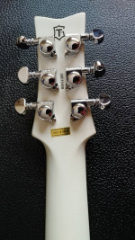 Tregan Shaman-New in Box-(Korea)Carved Mahogany,Grovers,Humbuckers