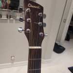 Charvel Jackson guitar