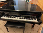 Nordiska Baby Grand Piano - Like New