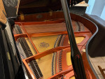 Nordiska Baby Grand Piano - Like New