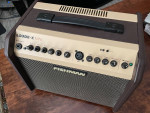 Fishman Loudbox Mini