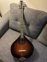 Bazouki - Built By Local Luthier