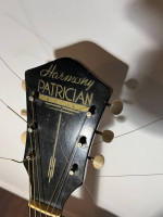 Harmony Patrician