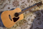 Ibanez Artwood AW10 Acoustic Guitar