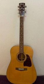Ibanez Artwood AW10 Acoustic Guitar