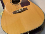 Ibanez Artwood AW10 Acoustic Guitar