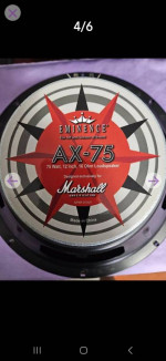 12 in. Eminence guitar speakers