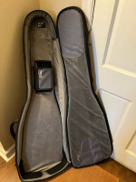 Mono M80 Electric Bass Guitar Case