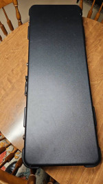 Road Runner Guitar Hardshell case