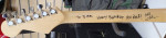 Custom 1 of 1 Detroit Red wings Guitar