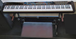 CASIO PX-S3100