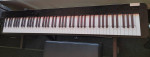 CASIO PX-S3100