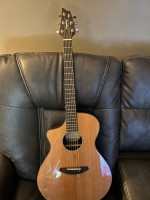 Breedlove Solo Concert LH