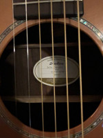 Breedlove Solo Concert LH