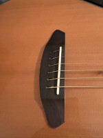 Breedlove Solo Concert LH